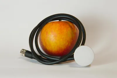The Coltiva water level sensor, a white disc on a cable, shown next to an apple for scale.